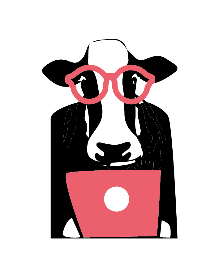Vache en télétravail avec lunettes et ordinateur portable